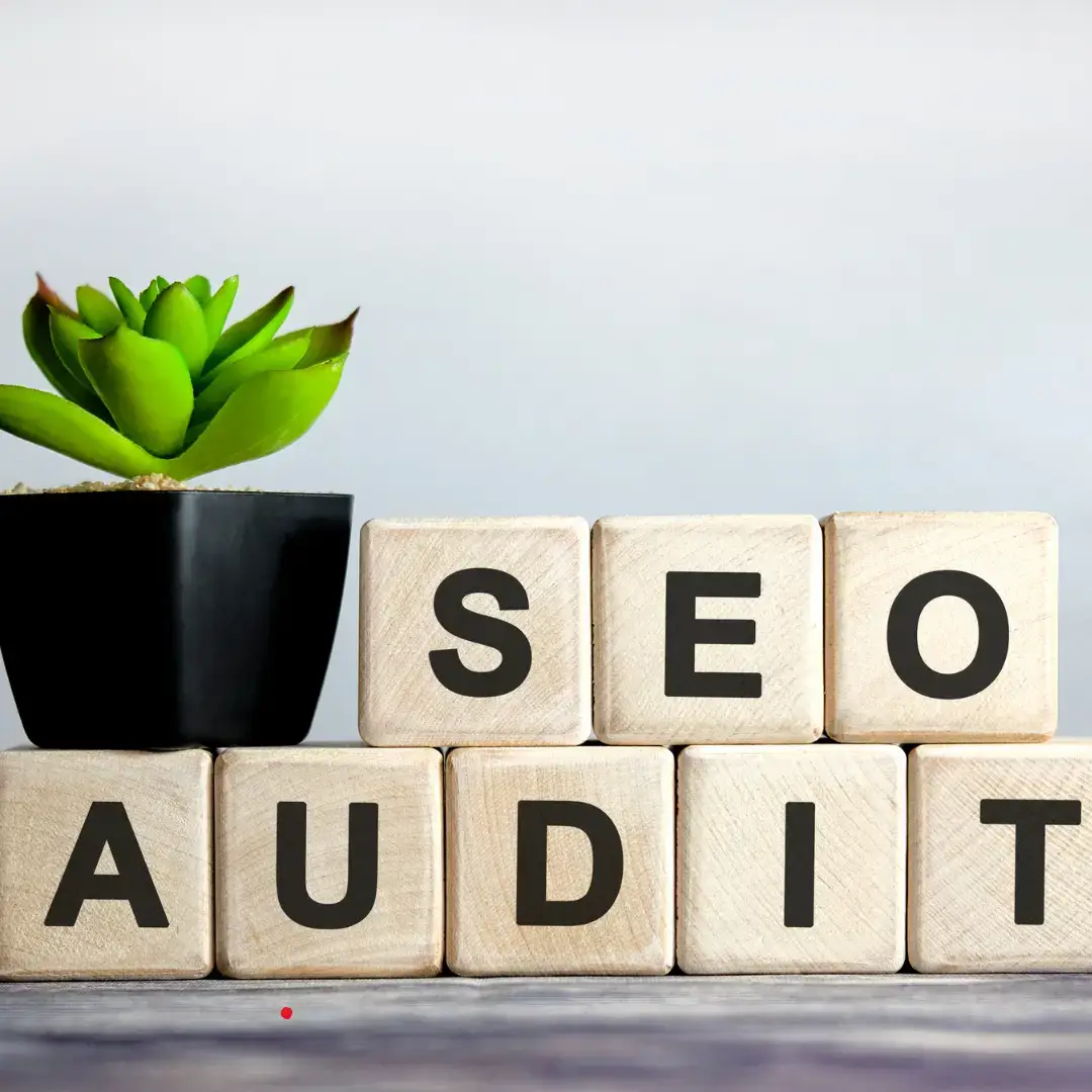 Free SEO audit