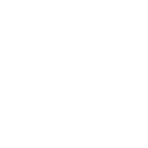 Custom Solutions